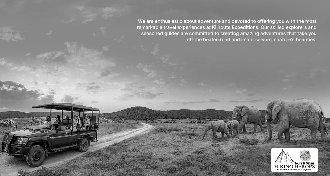 about-us